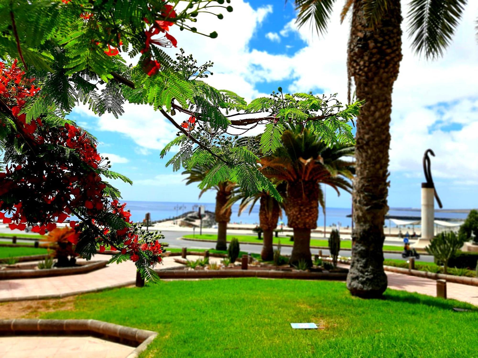 El Bounty De Playa Chica Villa Puerto del Rosario  Phòng bức ảnh